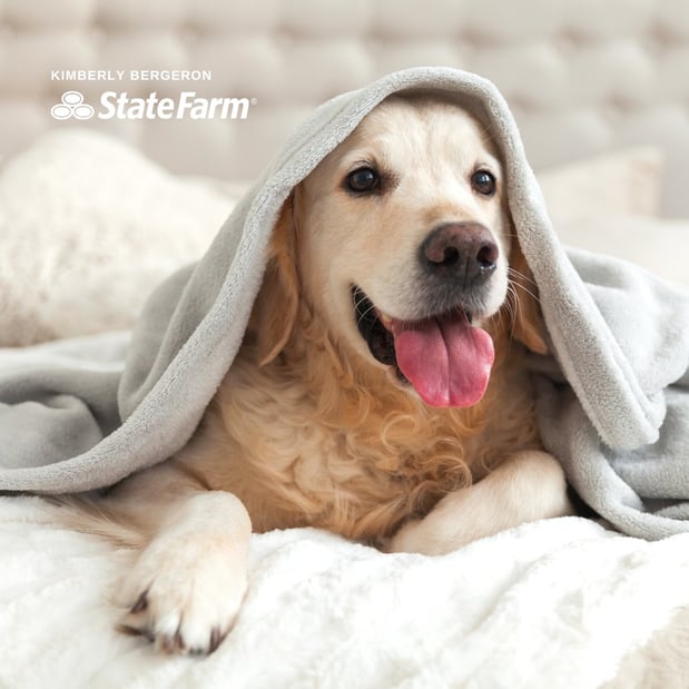 Images Kimberly Bergeron - State Farm Insurance Agent