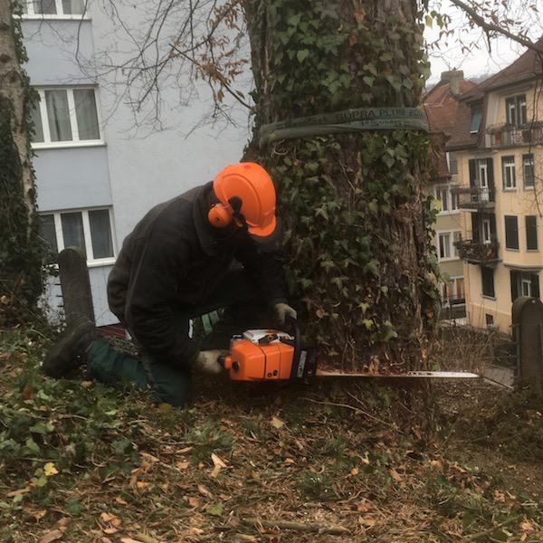 Reiter Gartenbau und Gartenpflege, Bleulerstrasse 4 in Zürich