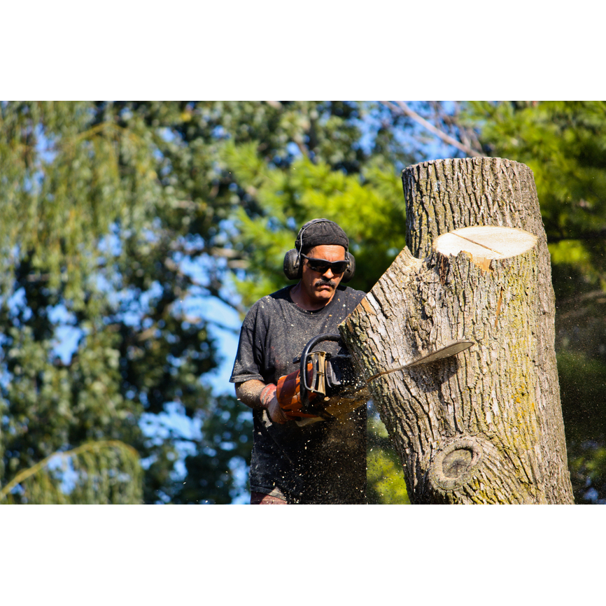Anaheim Tree Care