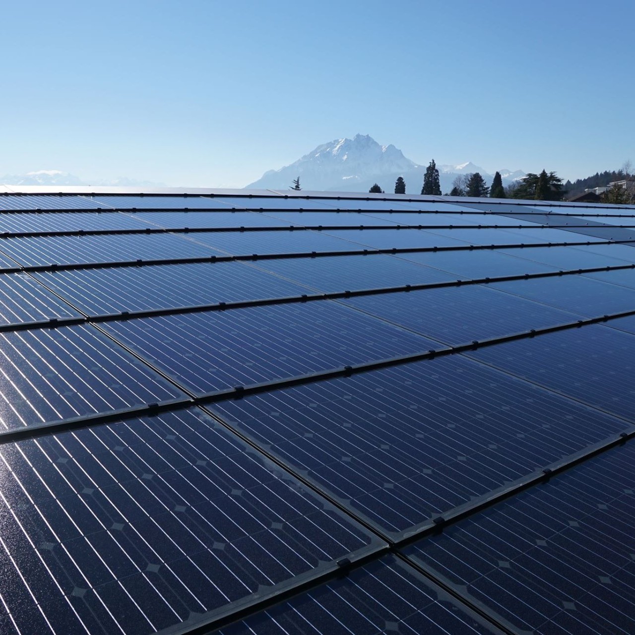 Bilder Buholzer Marcel AG