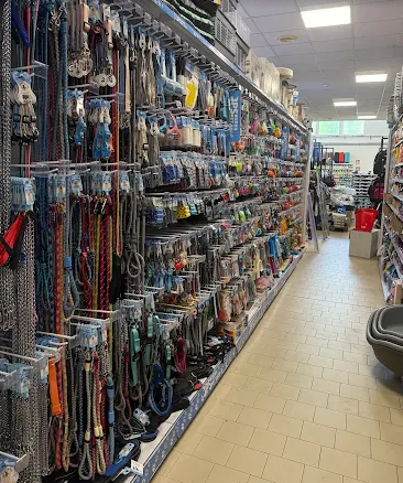 Images Imarket Mercatone