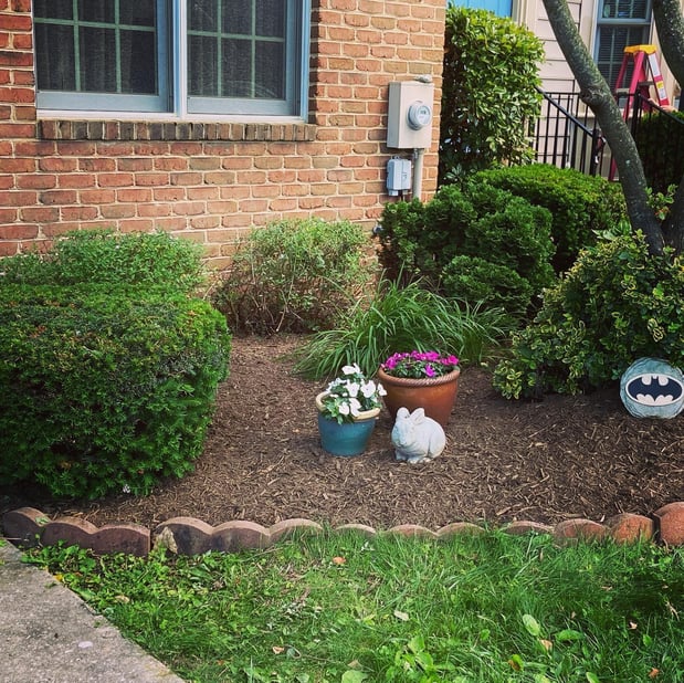 Images Barr Landscaping