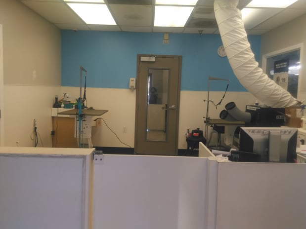 Images Petco Grooming