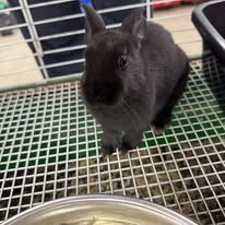 Images Harrison Farm and Feed