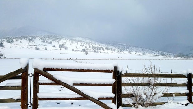 Images Sylvan Dale Guest Ranch & Wedding Venue