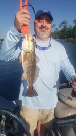 Images E-6 INSHORE FISHING ADVENTURES, LLC