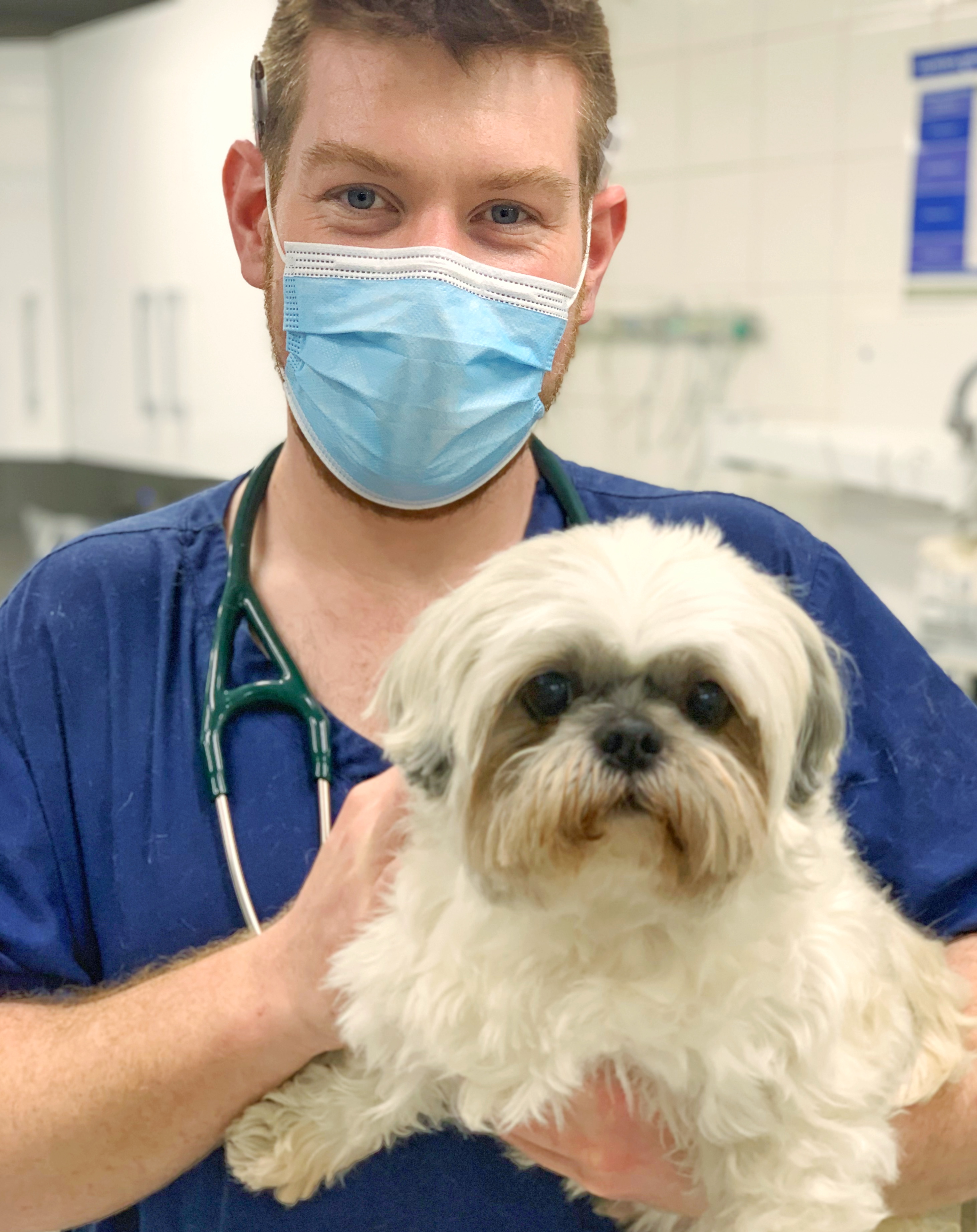 Images Streatham Hill Veterinary Surgery