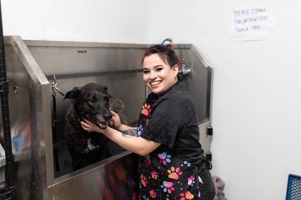 Images VCA Angel Animal Hospital