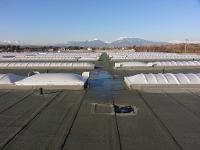 Images Lucernari Arcolux