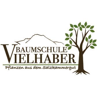 Baumschule Vielhaber Logo