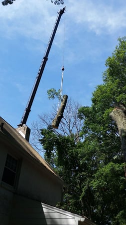 Images Keil Tree Experts Inc