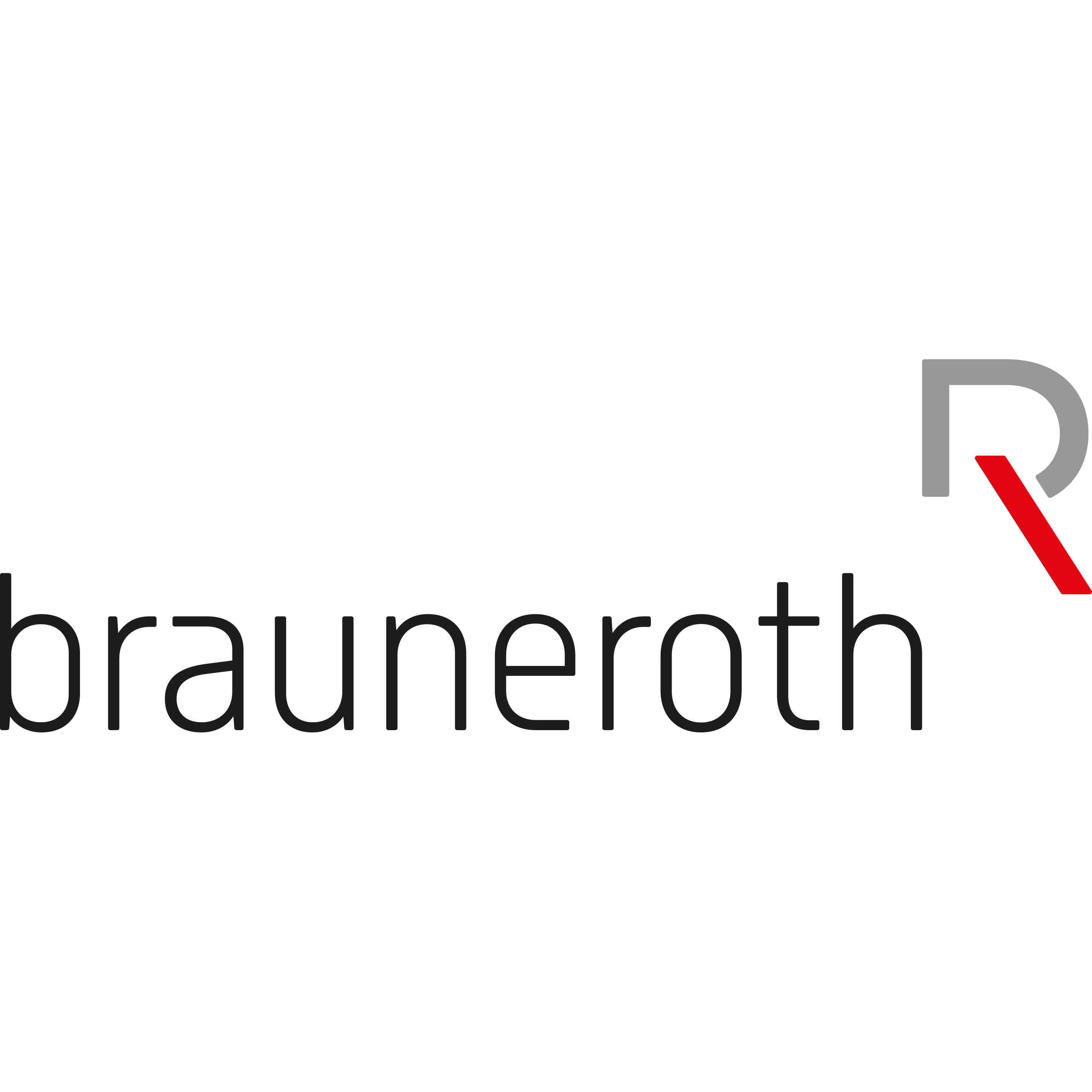 brauneroth ag Logo