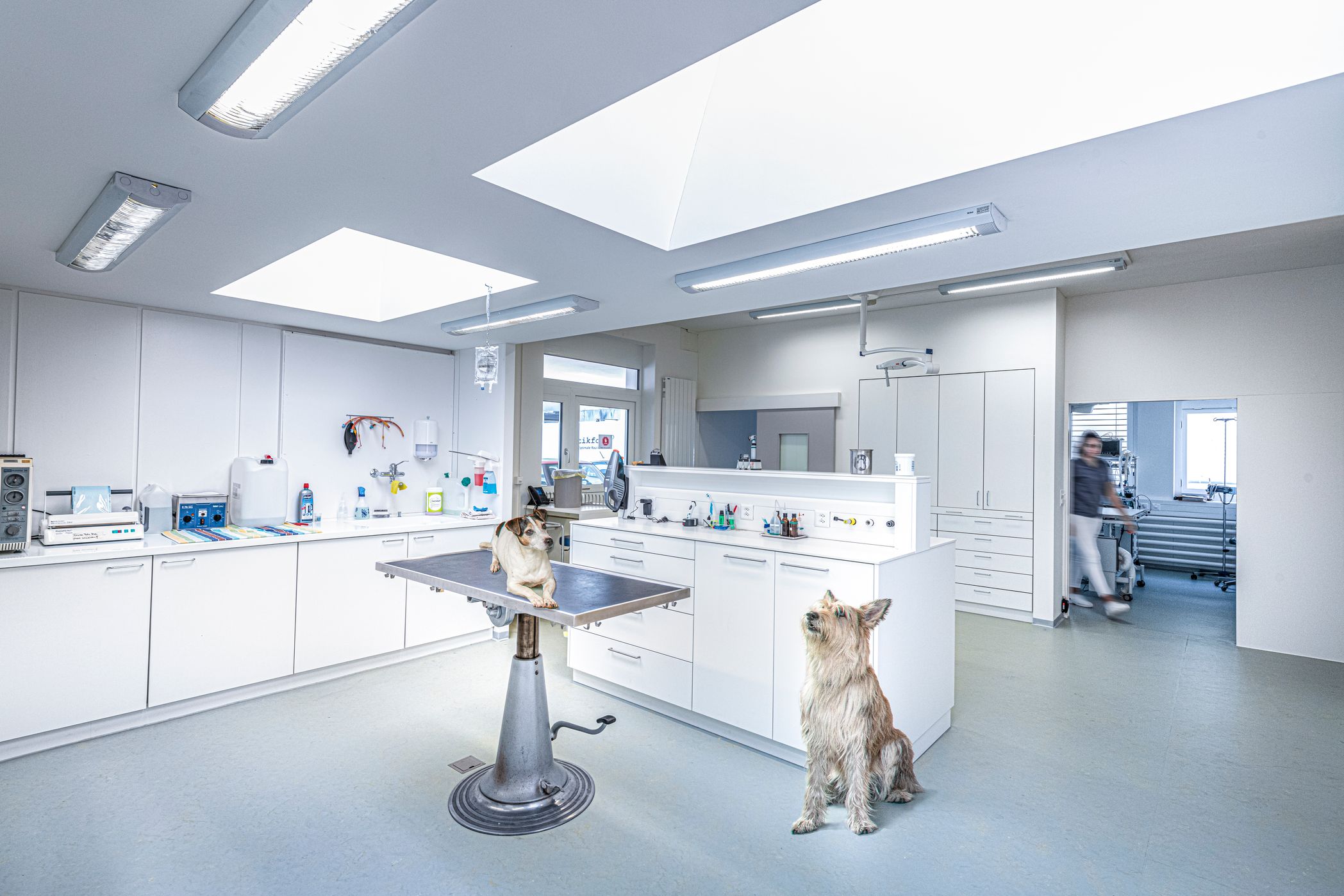 Tierklinik Rhenus AG, Winterthurerstrasse in Flurlingen