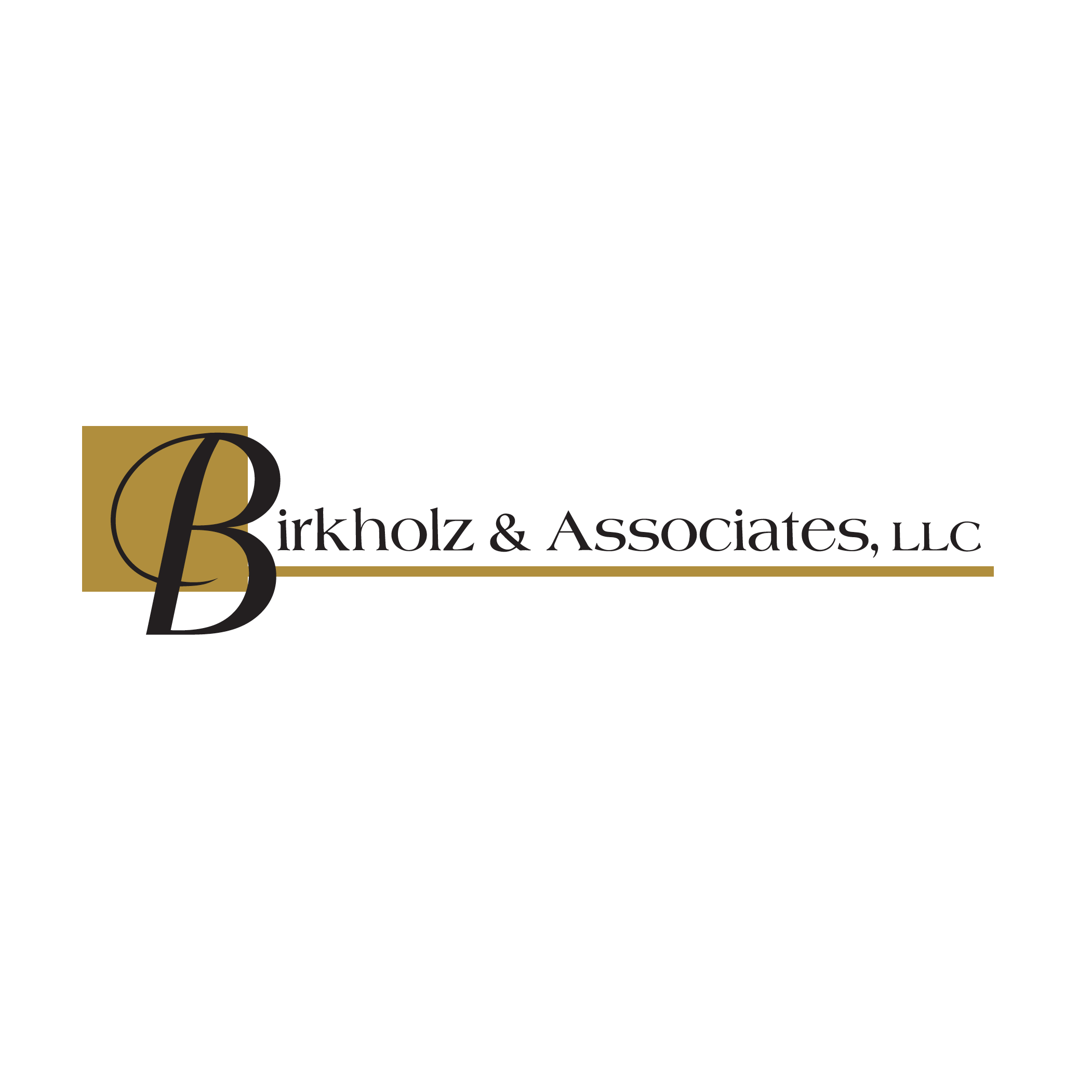 Birkholz & Associates - Mankato Divorce, Family Law & Criminal Defense Attorneys