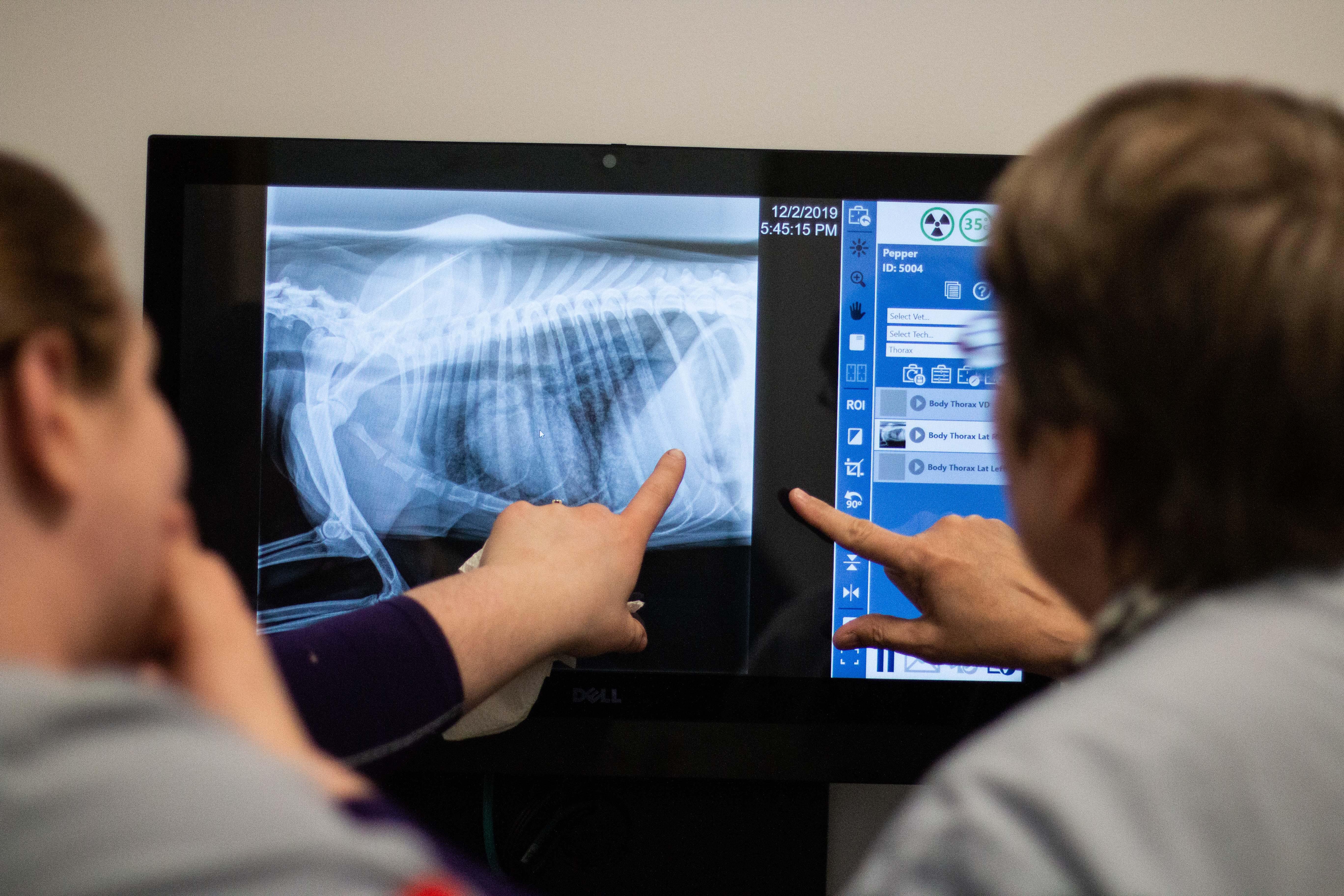 We offer on-site radiology, and every single digital xray that we perform is read by a board-certified radiologist.