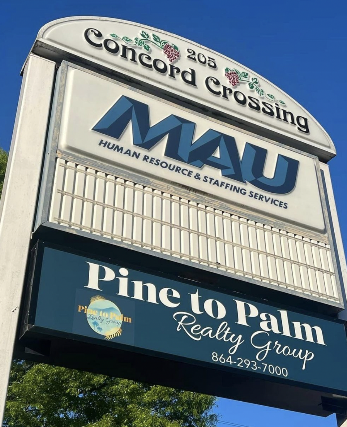 Pine to Palm Realty Group