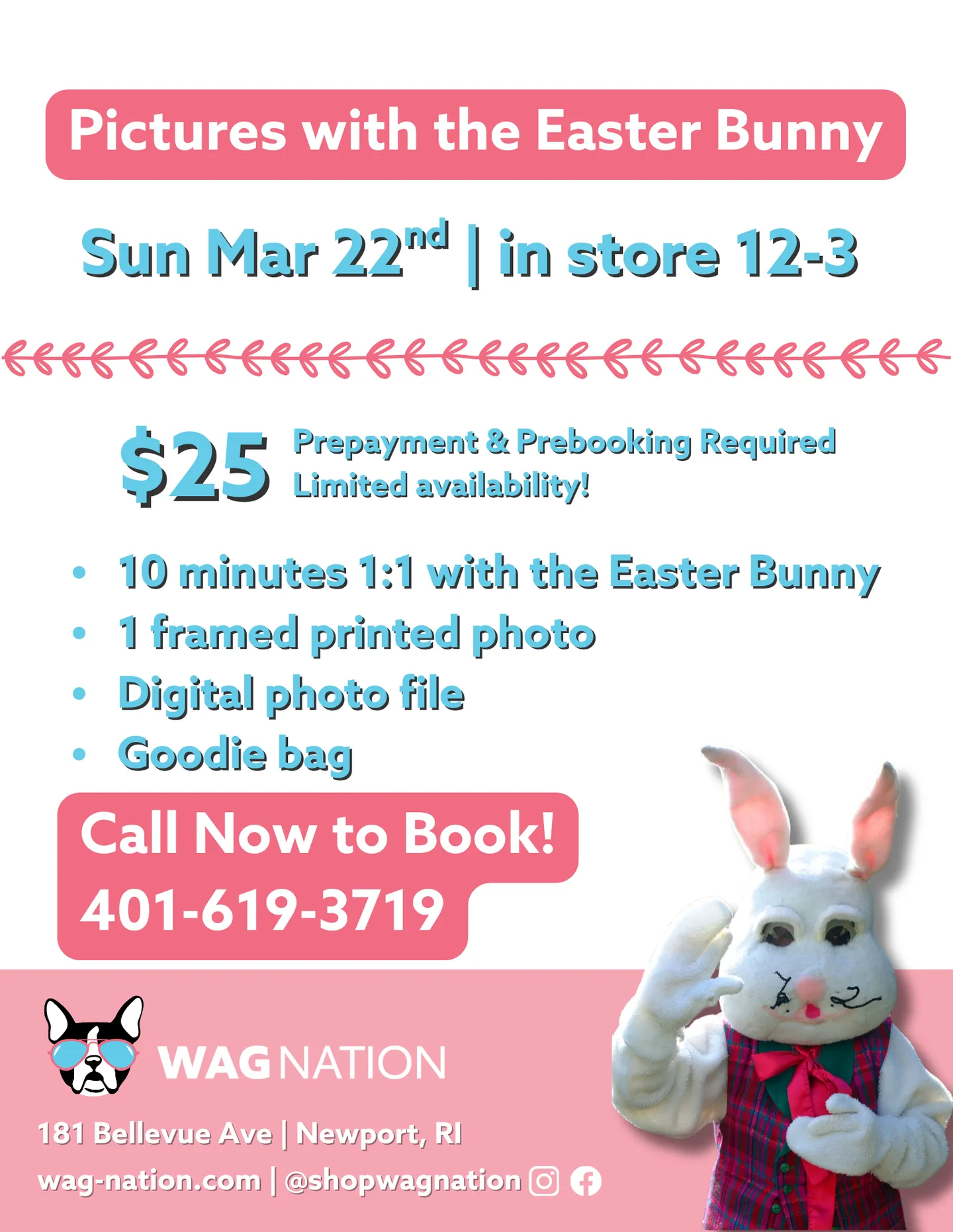 Image of Local Pet Event Pictures with the Easter Bunny Nearby