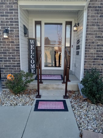 Images 101 Mobility of St Louis