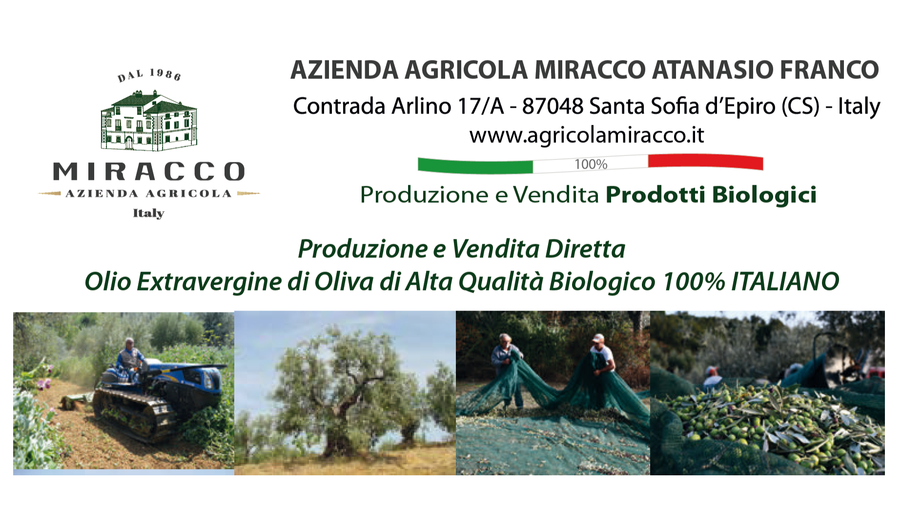 Images AZIENDA AGRICOLA MIRACCO ATANASIO FRANCO
