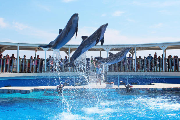 Images Holiday Inn Resort Fort Walton Beach by IHG
