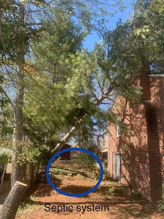Images Myers Tree Service