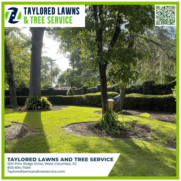Images Taylored Lawns & Tree Service