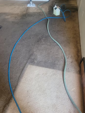 Images BCS Carpet Cleaning