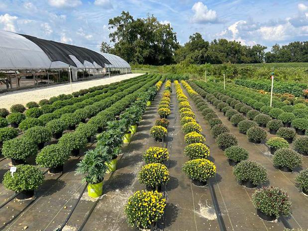 Images Whispering Pines Nursery and Landscaping