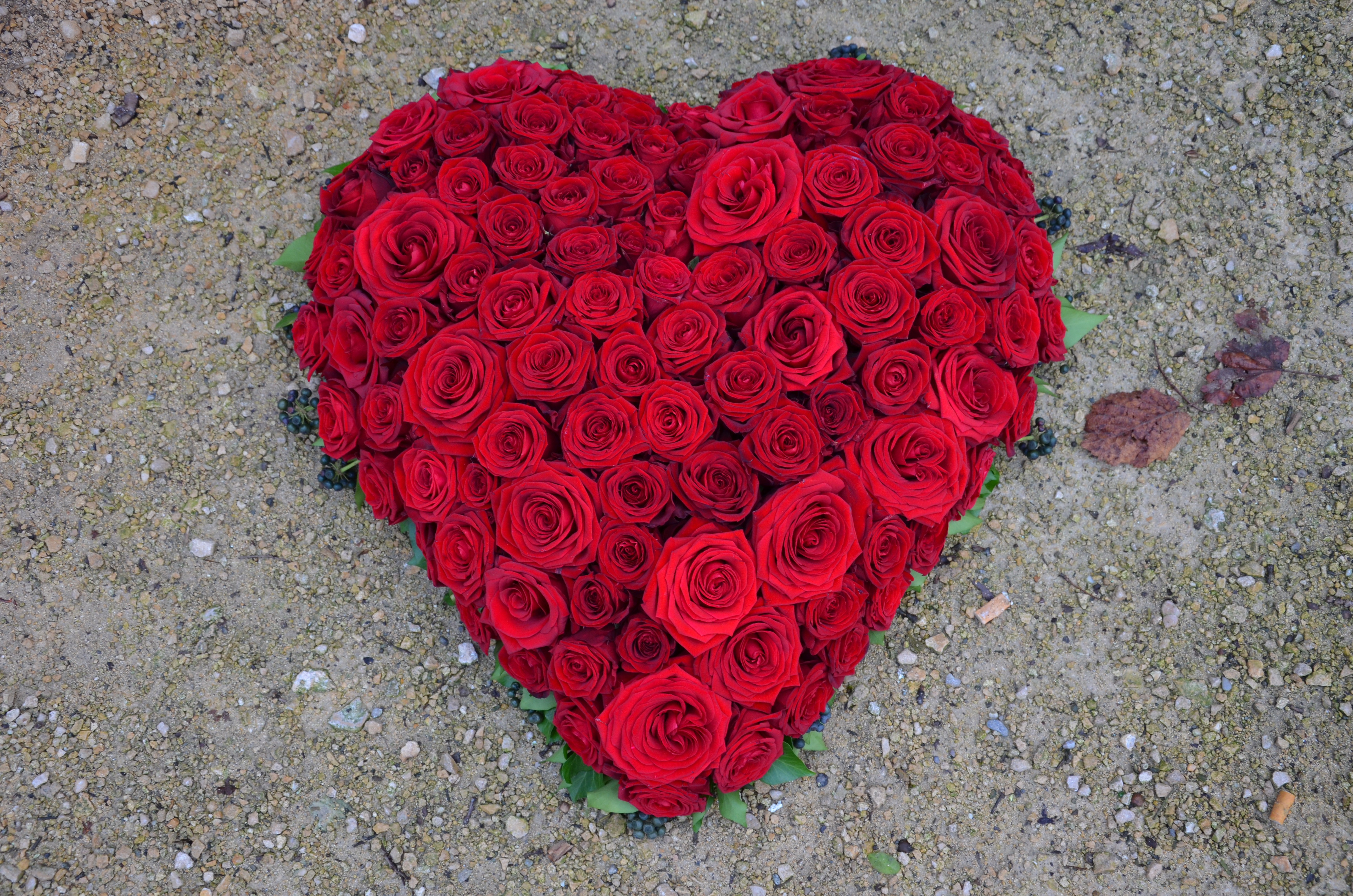 Flora Tina GmbH, Fröschweid 9 in Rheinfelden