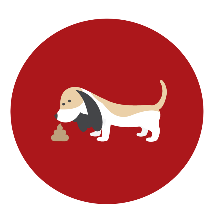 Images Scoopy Poo