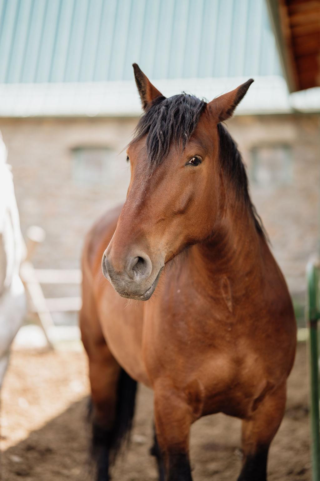 Chico Hot Springs Resort & Day Spa
