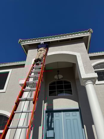 Images Darling Wildlife Services