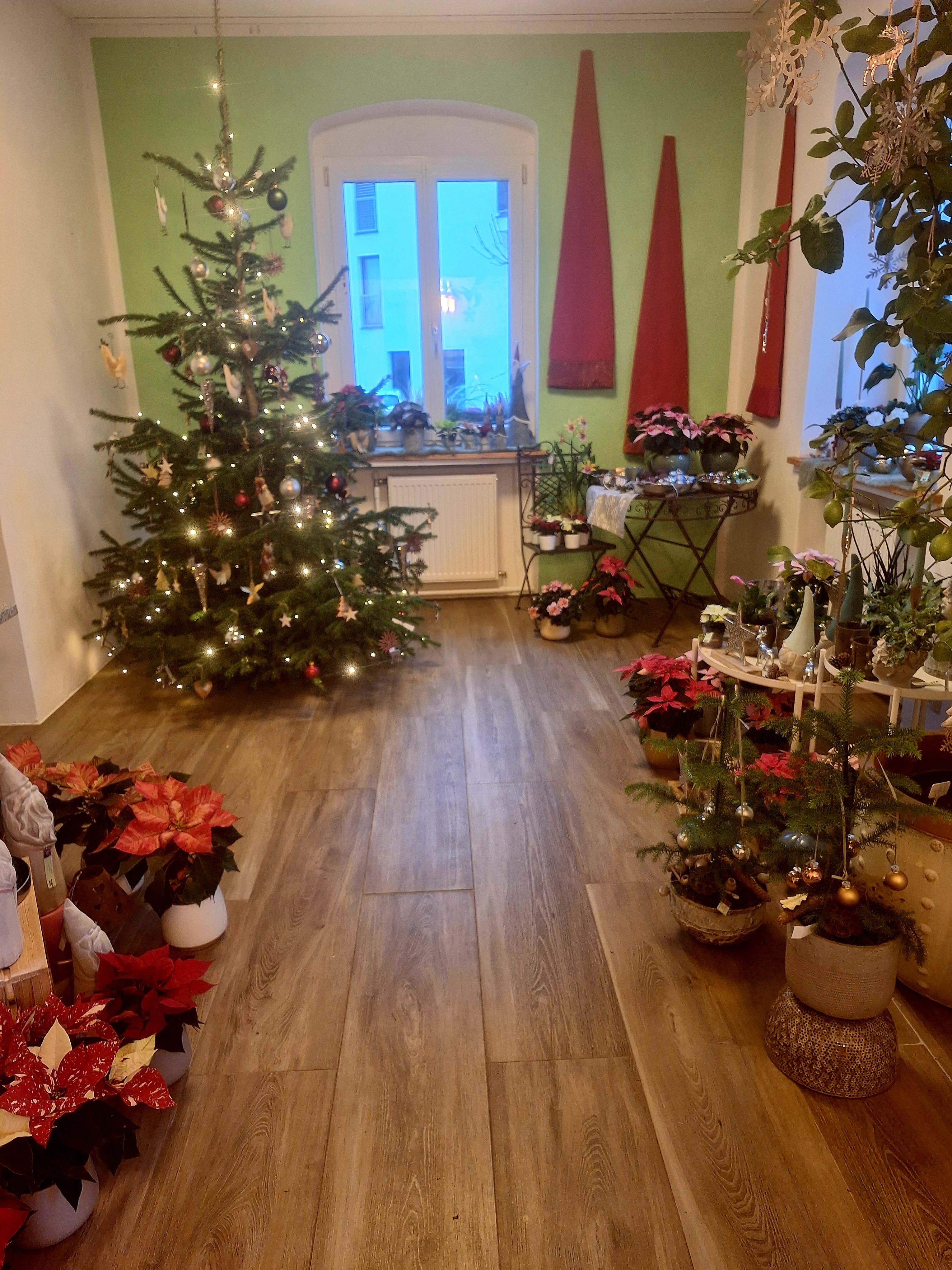 Bild 50 von Grün-Zone