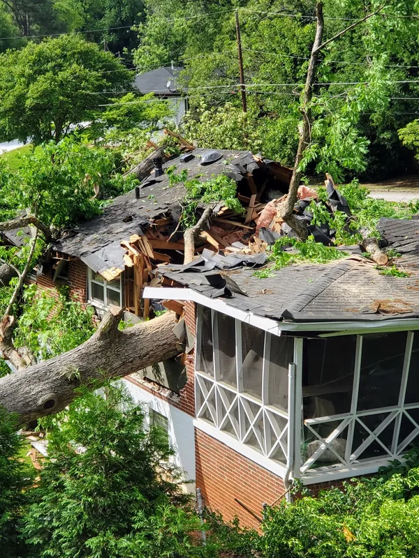 Images Smiths Tree Service