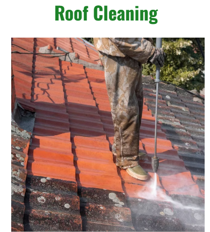 Exterior Cleaning, Softwash, Roof cleaning, powerwashing, gutter cleaning, gutter installations, Fascia & Soffits