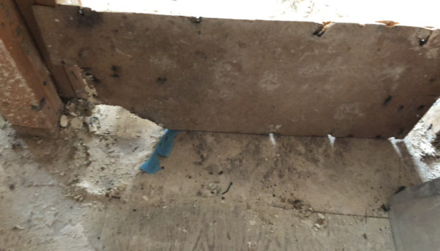 Images B & Z Water Damage Restoration