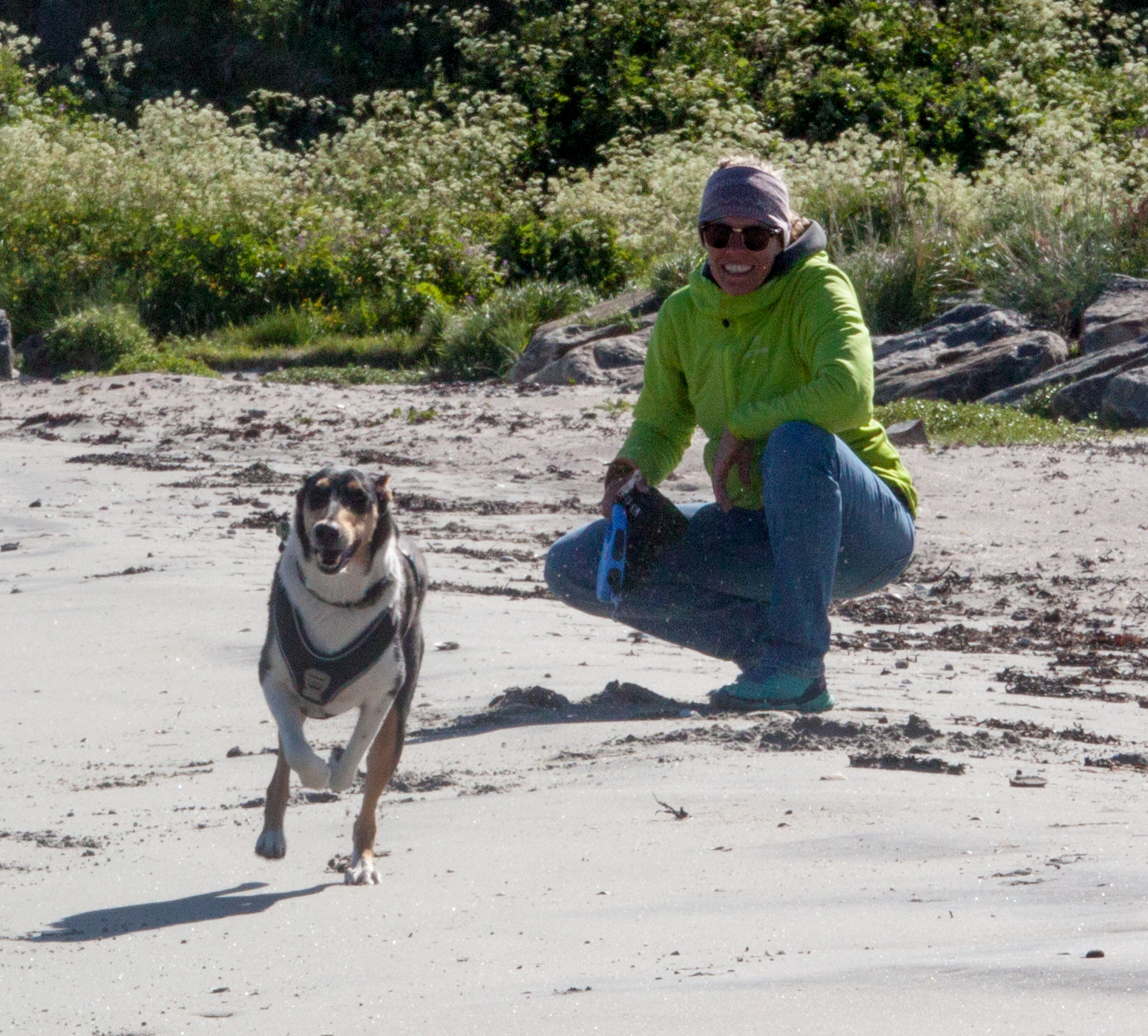 DogCircle Hundeschule Dachau & München Nord, Kirchweg 4 in Karlsfeld