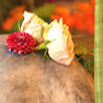 Kundenfoto 22 Blumen & Dekoration | Rita Roth | München
