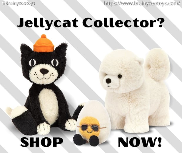Images BrainyZoo Toys
