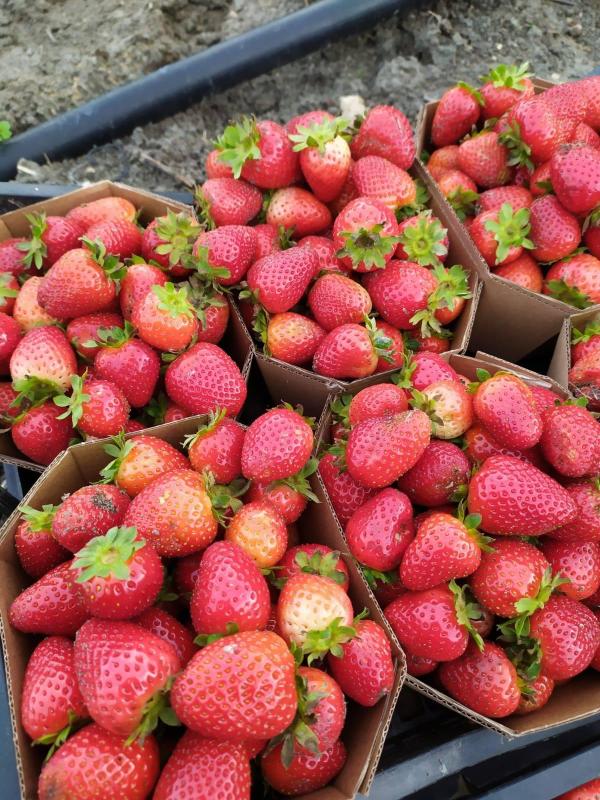 Images Agriturismo su Stai Podere Valbella