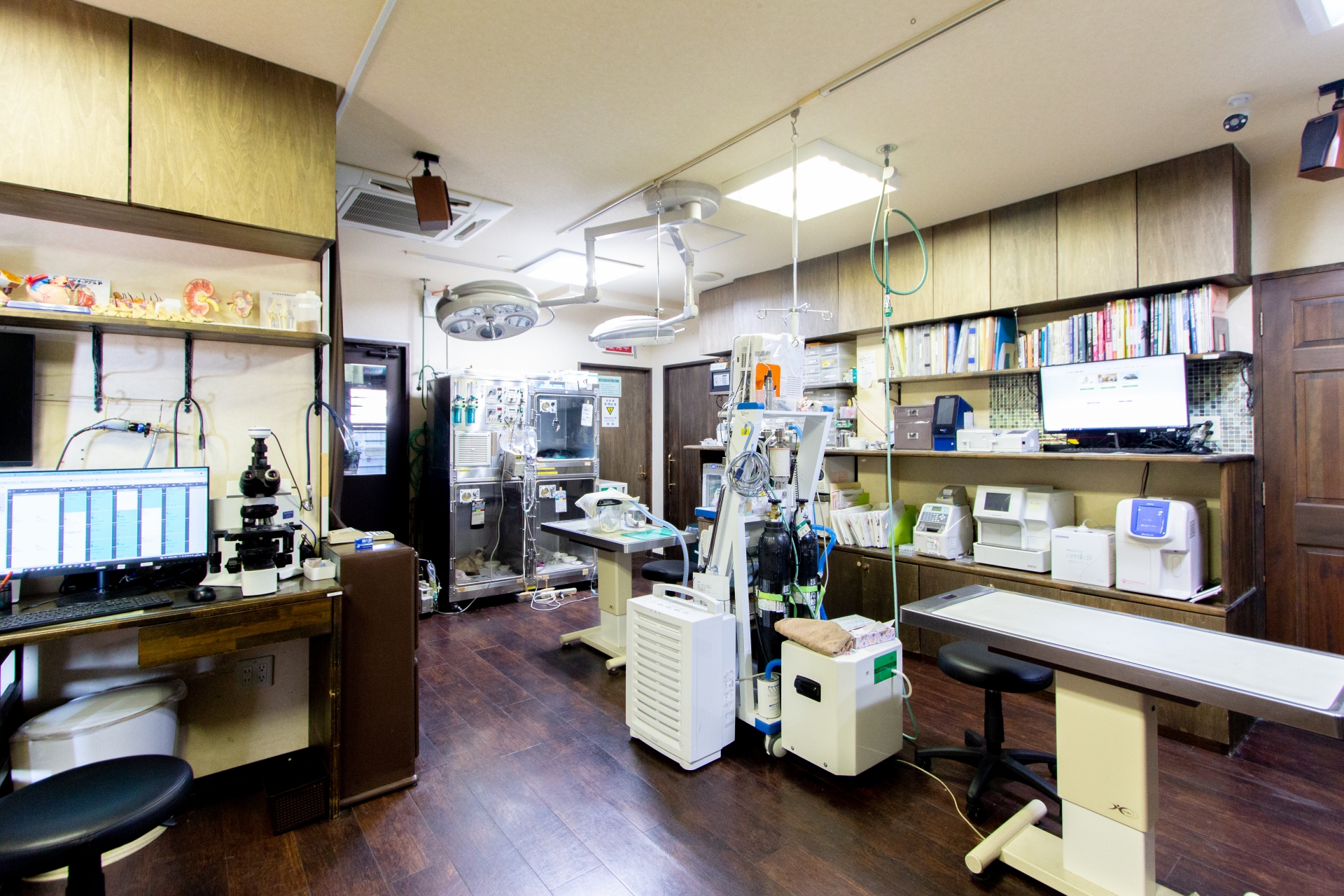 Images あや動物病院