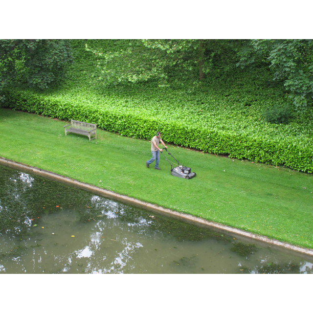 An Artful Garden