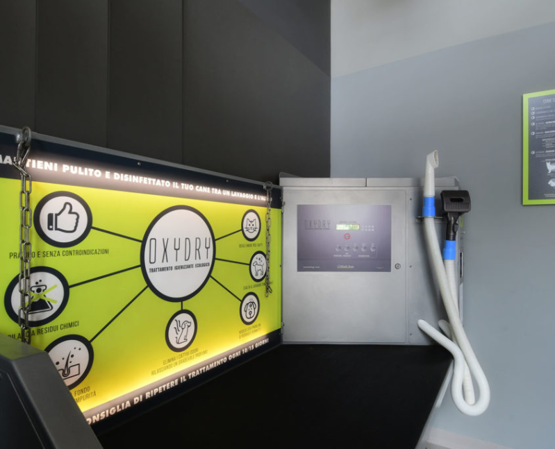 Images Wash Dog Bressanone