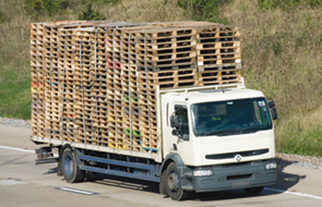 Saga Crown Pallets Limited Great Yarmouth 01493 651383