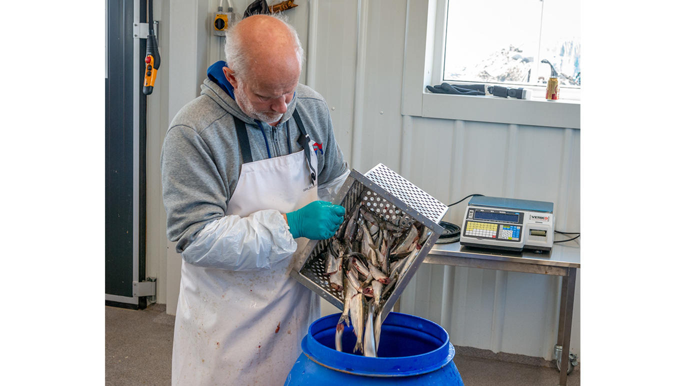 Images Dj Foto och Video - Fotograf Umeå