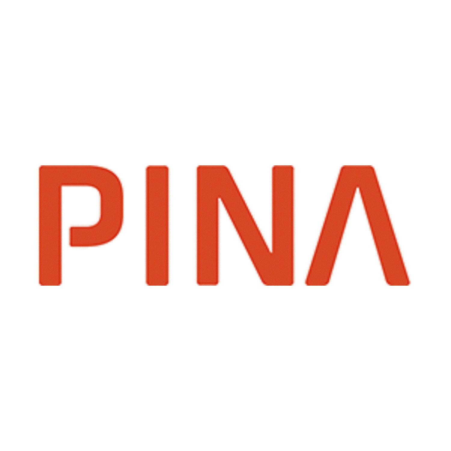PINA GmbH  Logo