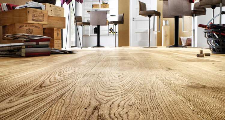 vdk - van der Kamp Malergesellschaft GmbH, Industriestr. 15 in Neuenhaus