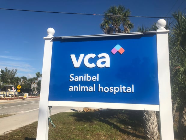 Images VCA Sanibel Animal Hospital
