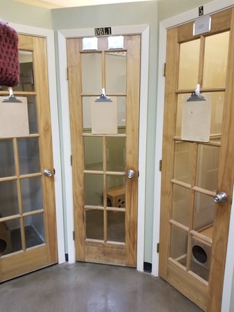 Images VCA Premier Animal Hospital and Pet Resort