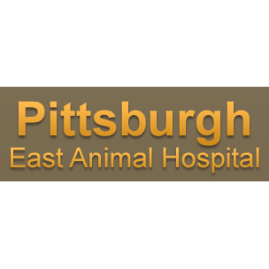 Pittsburgh East Animal Hospital - Greensburg, PA 15601 - (724)205-6960 | ShowMeLocal.com